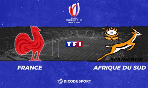 pronostics france afrique du sud|Pronostic France – Afrique du Sud, cotes et analyse (Coupe du .